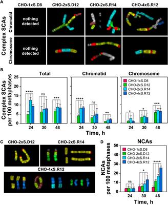 The high toxicity of DSB-clusters modelling high-LET-DNA damage derives from inhibition of c-NHEJ and promotion of alt-EJ and SSA despite increases in HR